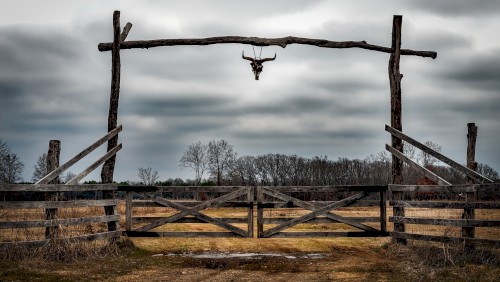 Wild Ranch