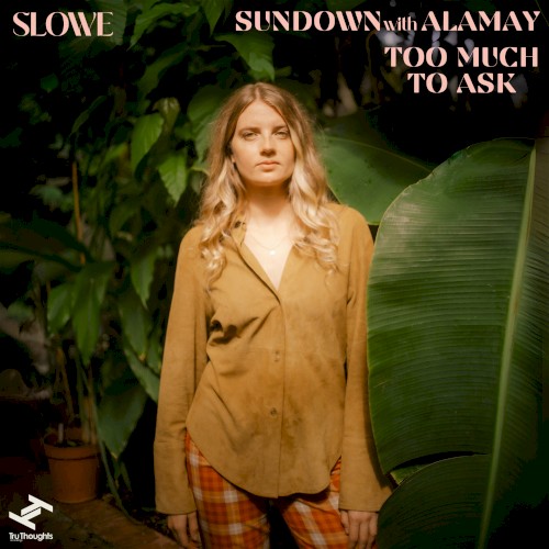 Sundown / Too Much to Ask
