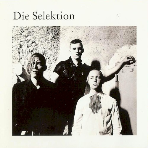 Die Selektion
