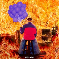 Miss You (Nyctonian remix)