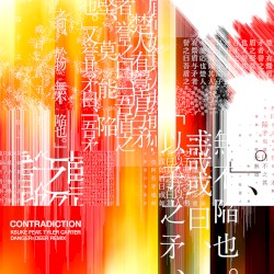 Contradiction (DANGERxDEER remix)
