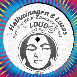 Pipeworm (Loud & Domestic Remix) / 303 Tool