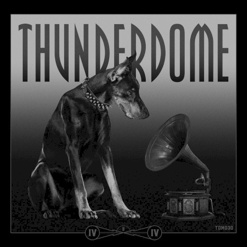 Thunderdome Vinyl Series IV of IV