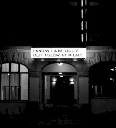 I know I am ugly, but I glow at night