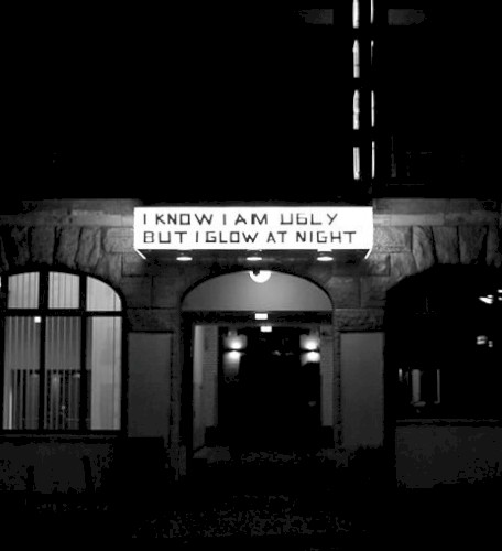 I know I am ugly, but I glow at night