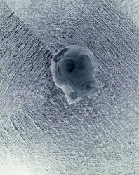 NEGATIVE