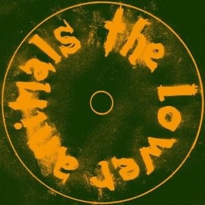 The Lower Animals