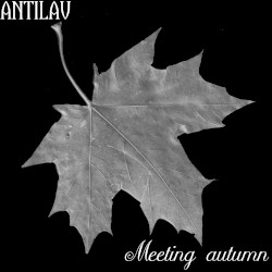 Meeting Autumn 2.0