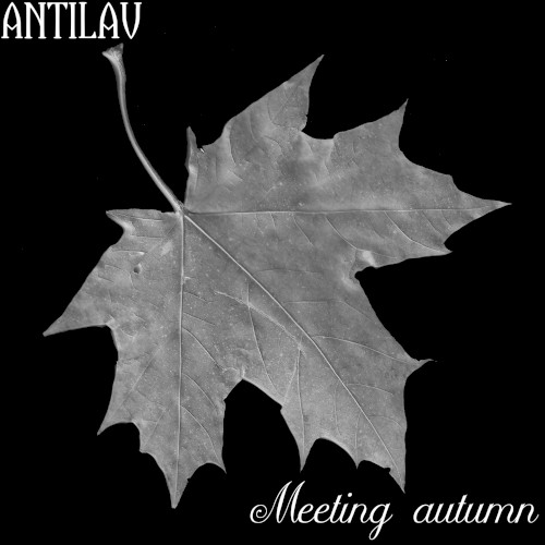 Meeting Autumn 2.0