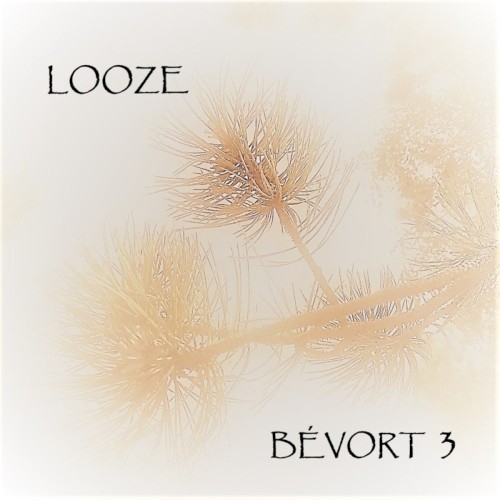Looze