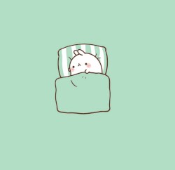 a day in my life