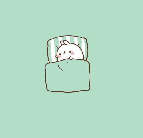 a day in my life