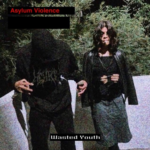 Wasted Youth