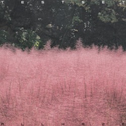ALL HAZE