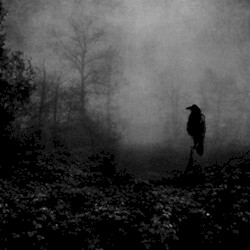 Left Behind
