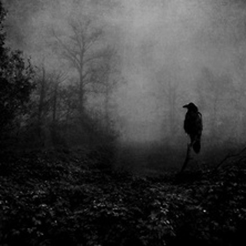 Left Behind