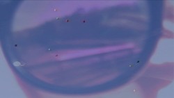 Hologram of a Dream