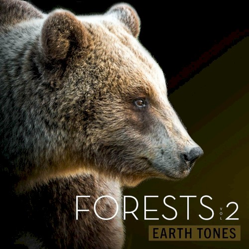 Forests Vol 2