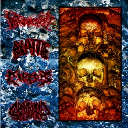 Violent Misery / Blatte / Cipotok / Subarachnoid Separation Split