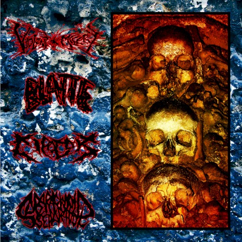 Violent Misery / Blatte / Cipotok / Subarachnoid Separation Split