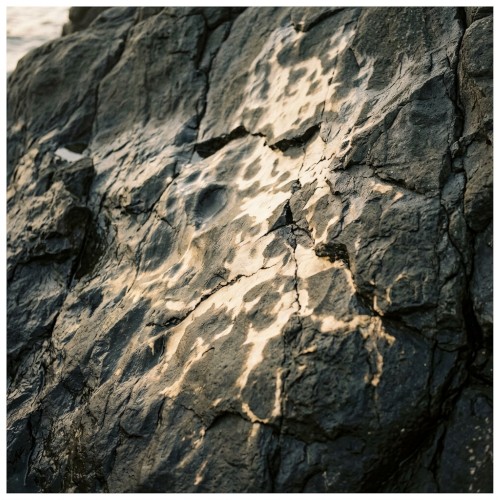 ambient kyoto 0040