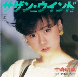サザン・ウインド