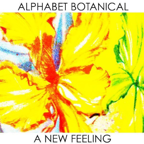A New Feeling