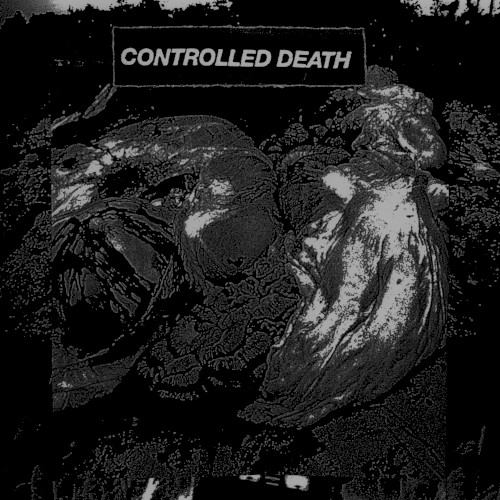 Beautiful Decomposition