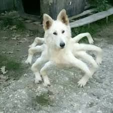 My Strange Hell