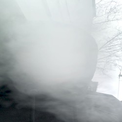 smog