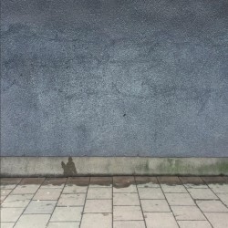Pow