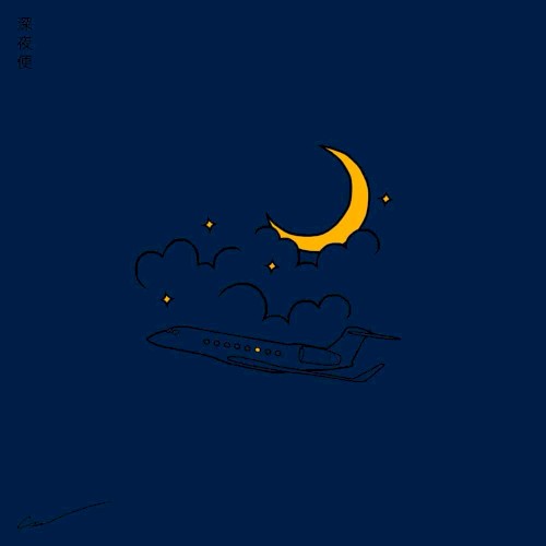 Midnight Flight