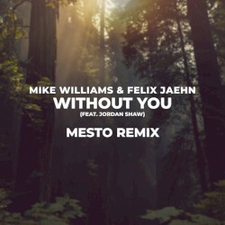 Without You (Mesto remix)