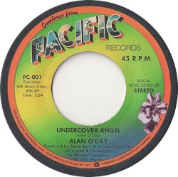 Undercover Angel