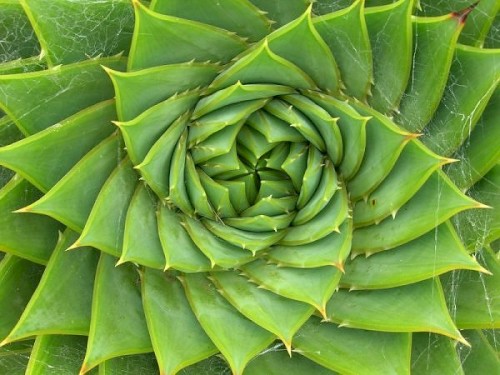 Matemagika