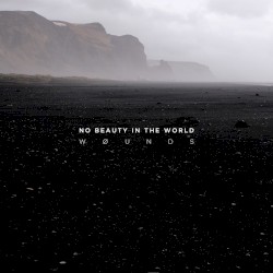 No Beauty In The World
