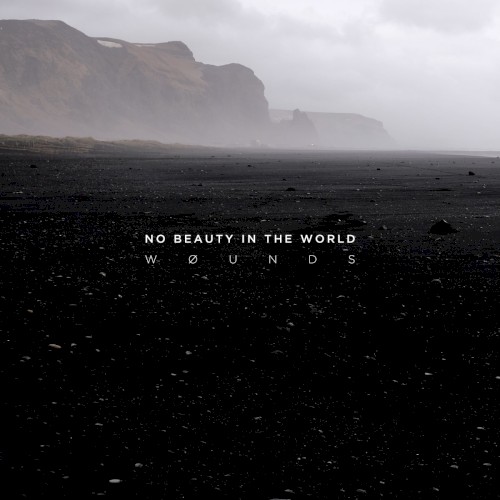 No Beauty In The World