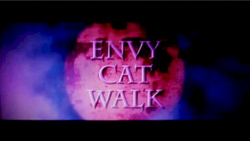 エンヴィキャットウォーク