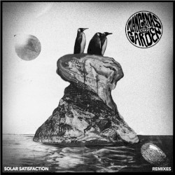 Solar Satisfaction (Remixes)