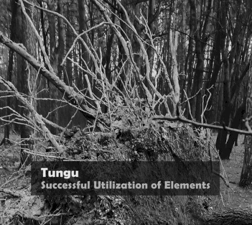 Successful Utilization of Elements