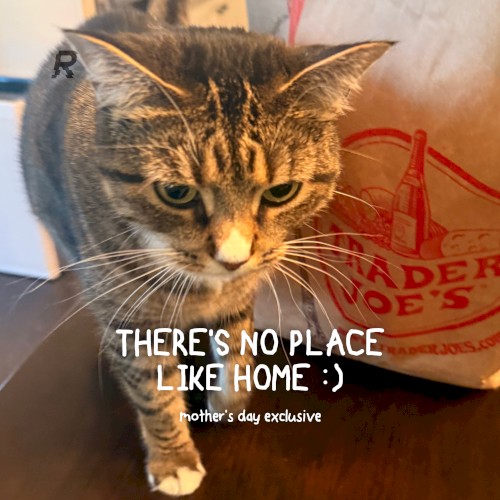 THERE'S NO PLACE LIKE HOME :)
