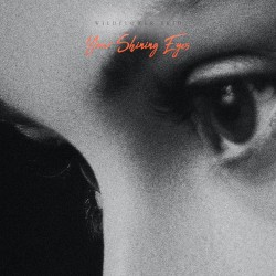 Your Shining Eyes