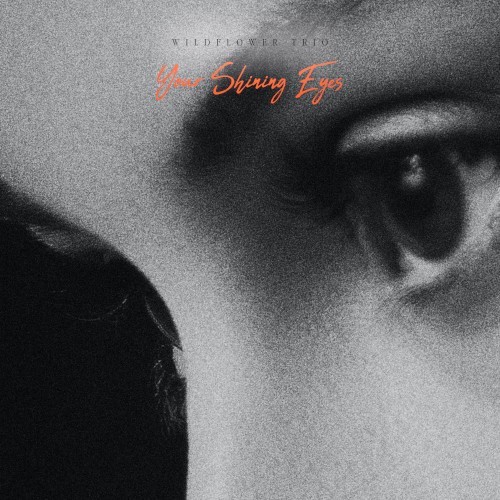Your Shining Eyes