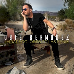 Vida de colores (remix norteño)