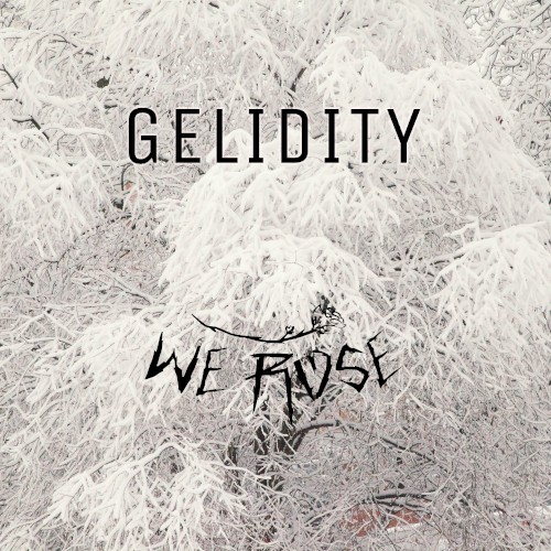 Gelidity