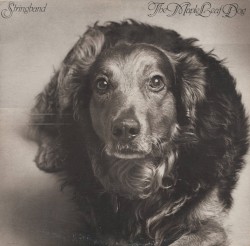 The Maple Leaf Dog