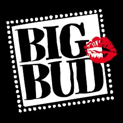 Big Budvent