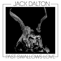 Past Swallows Love