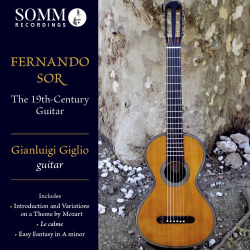 The 19th Century Guitar