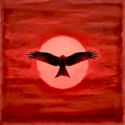 Red Kite